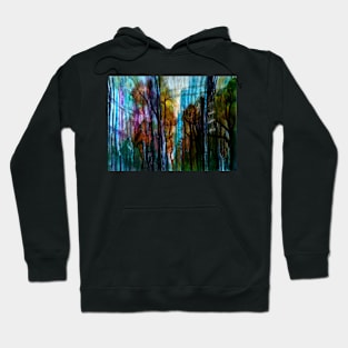 Golden Autumn in the High City Hoodie